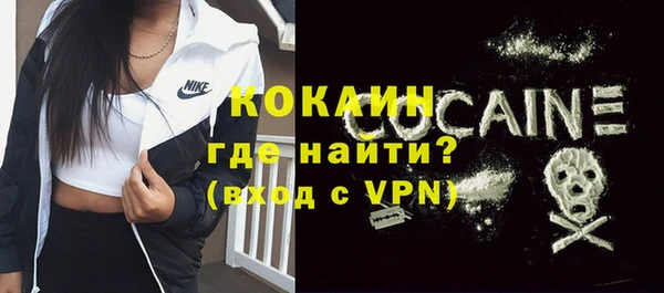 бошки Белокуриха