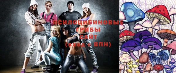 бошки Белокуриха