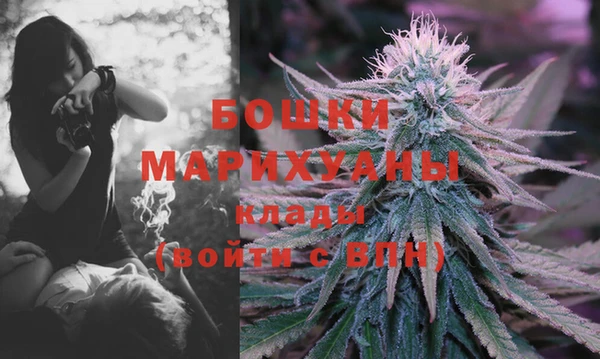 бошки Белокуриха