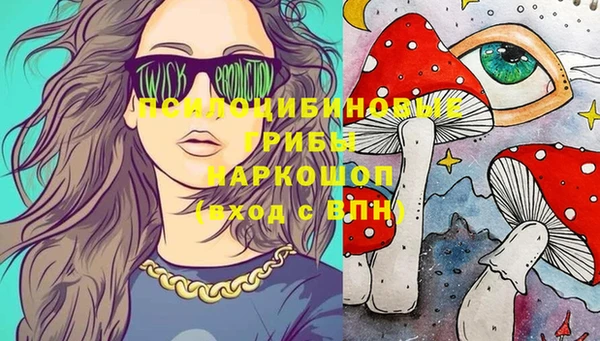 скорость Саяногорск