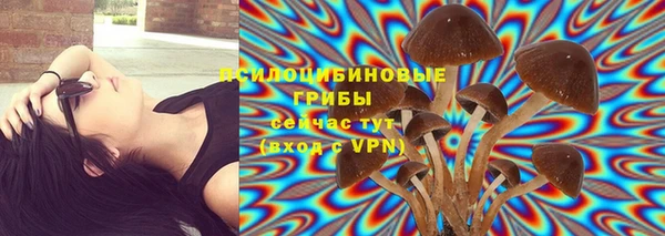бошки Белокуриха