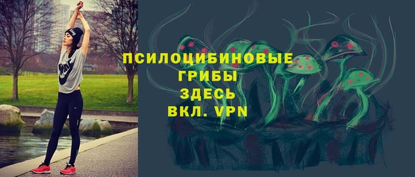 индика Сатка