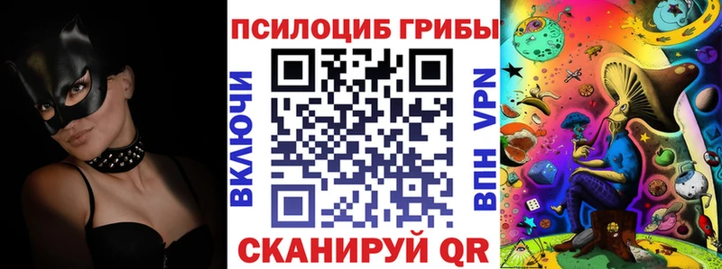 Галлюциногенные грибы Cubensis  хочу   Вязники 